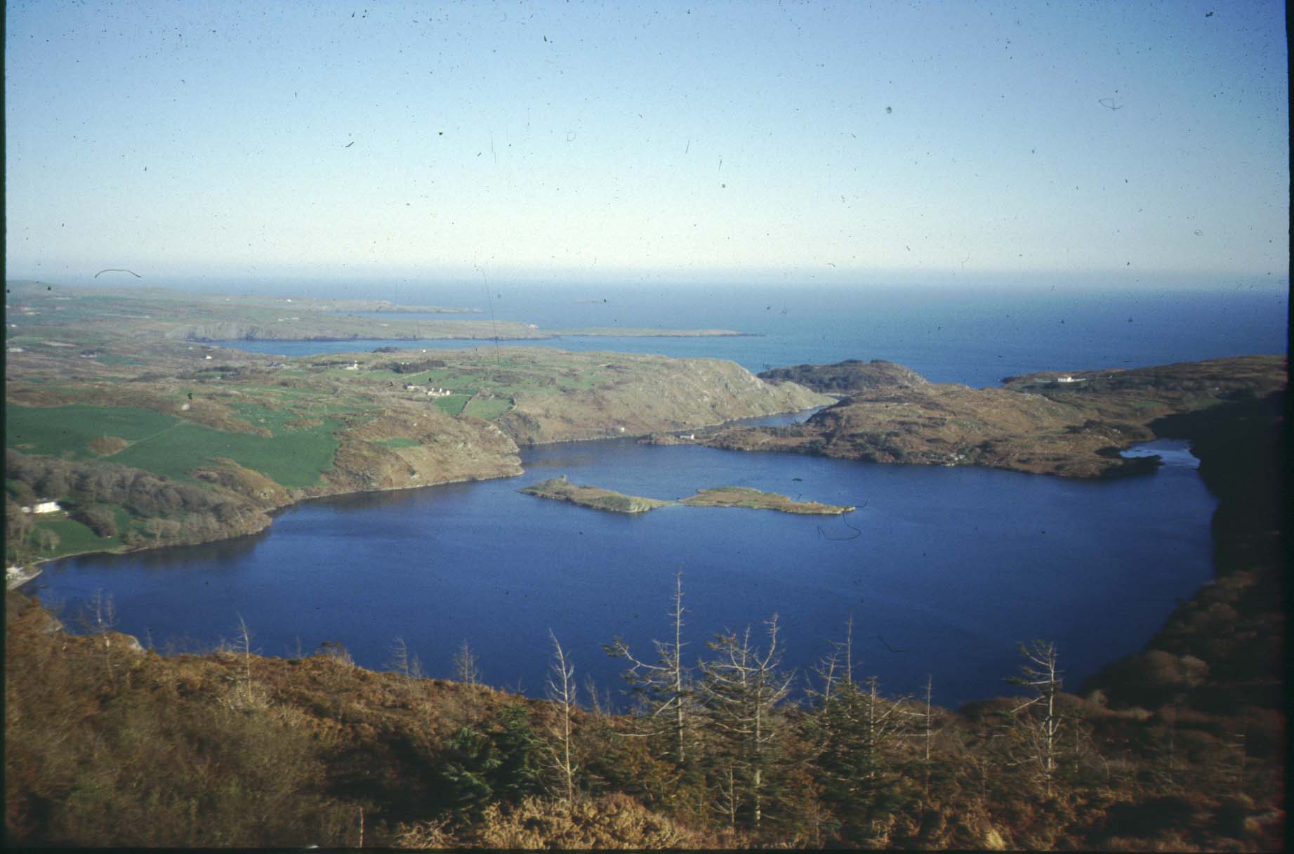 Lough Hyne Marine Reserve, Ireland