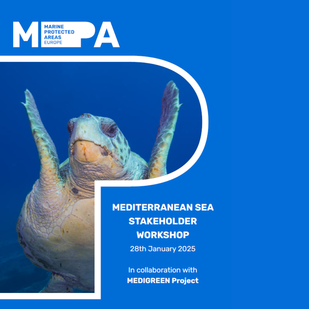 Stakeholder Report Mediterranean Cover