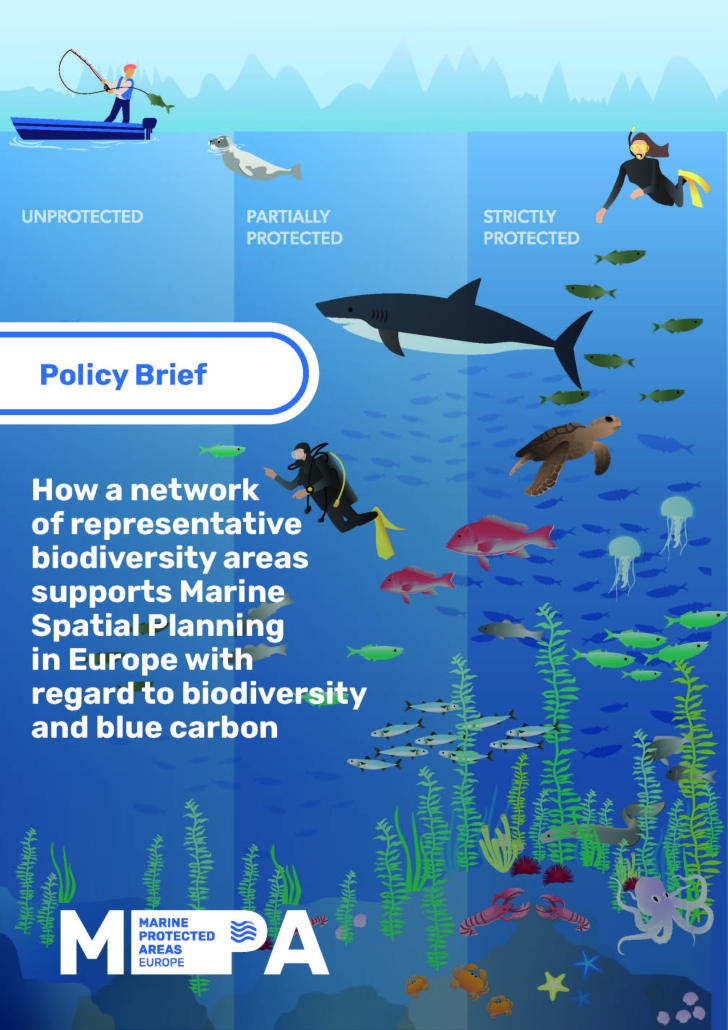 MPA Policy Brief_Short_version_20.05.2026_Page_1