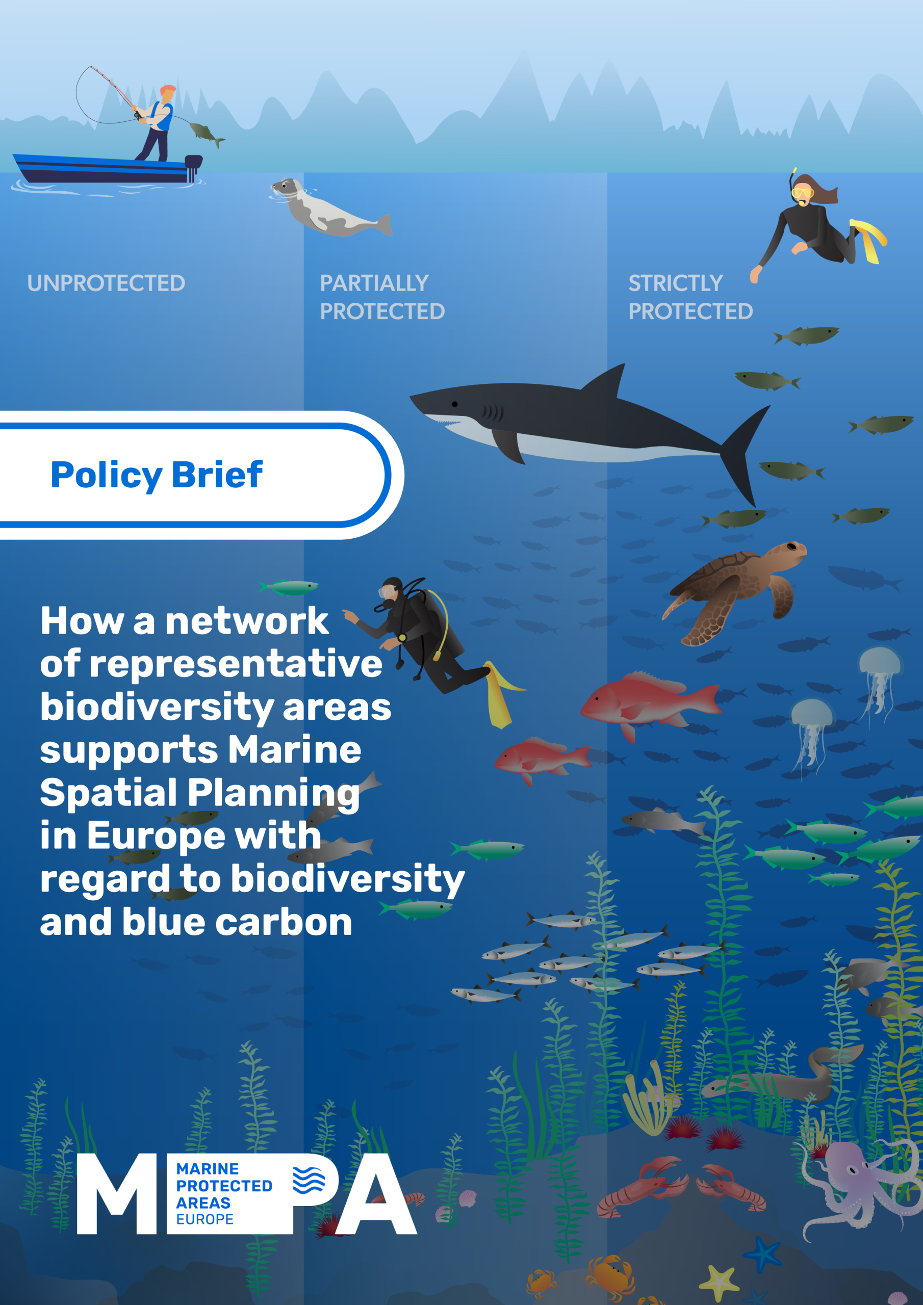 MPA Policy Brief_cover